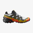 Chaussures homme Salomon Speedcross 6