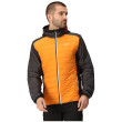 Veste homme Regatta Trutton II