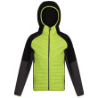 Veste enfant Regatta Kielder Hybrid VI green BriKiwi/DkGr