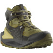 Chaussures homme Salomon Elixir Mid Gore-Tex green Black / Dried Herb / Southern Moss