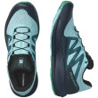 Chaussures de running hommes Salomon Pulsar Trail