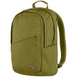 Sac à dos urbain Fjällräven Räven 20 green Foliage Green