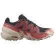 Chaussures femme Salomon Speedcross 6 Gore-Tex