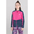 Sweatshirt enfant Dare 2b Hasty III CoreStr