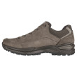 Chaussures homme Lowa Renegade Evo Gtx Lo