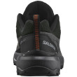 Chaussures homme Salomon X Ultra 360 Leather