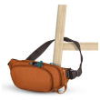 Sac banane Pacsafe ECO waist pack