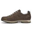 Chaussures homme Asolo Field GV