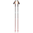 Bâtons randonnée Black Diamond Pursuit FLZ Trekking Poles