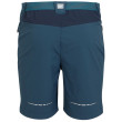 Short homme Regatta Mountain ShortsII M