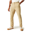 Pantalon homme Regatta Dalry Trouser