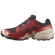 Chaussures de running hommes Salomon Speedcross 6 Gore-Tex