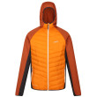 Veste homme Regatta Andreson VIII Hybrid orange Orange Pepper/Burnt Copper