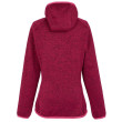 Sweat-shirt femme Regatta Wms Hood Newhill