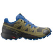 Chaussures homme Salomon Speedcross 5 GTX vert - bleu black