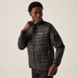 Veste homme Regatta Wentwood IX