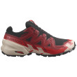 Chaussures de running hommes Salomon Speedcross 6 Gore-Tex