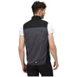 Gilet homme Regatta Lankin IV