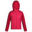 Veste enfant Regatta Kielder Hybrid VI rouge PkPotion/Bry