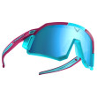 Lunettes soleil Dynafit Sky Evo Sunglasses