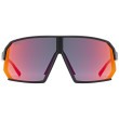 Lunettes sport Uvex Sportstyle 237