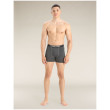 Caleçon homme Icebreaker Mens Anatomica Boxers