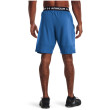 Short homme Under Armour Vanish Woven Shorts