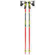 Bâtons ski Leki WCR Lite SL 3D