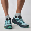 Chaussures de running hommes Salomon Pulsar Trail