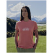 T-shirt fonctionnel femme Icebreaker Women Merino 150 Tech Lite III SS Tee IB Grown Naturally