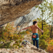 Sac à magnésie YY VERTICAL Chalk Bag Animal