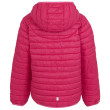 Veste enfant Regatta Jnr Hood Hillpack II