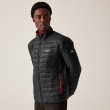 Veste homme Regatta Wentwood IX