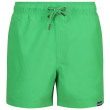 Short homme Regatta Mawson SwShortIII green FairwayGreen