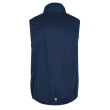 Gilet homme Regatta Lankin IV