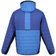 Veste homme Regatta Trutton II