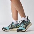 Chaussures de running femme Salomon Wander Gore-Tex