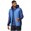 Veste homme Regatta Trutton II