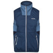 Gilet homme Regatta Lankin V bleue BluWing/Stlr