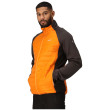 Veste homme Regatta Clumber IV Hybrid