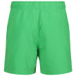 Short homme Regatta Mawson SwShortIII