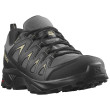 Chaussures homme Salomon X Braze Gore-Tex