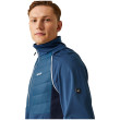 Veste homme Regatta Steren II Hybrid