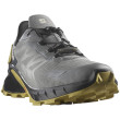 Chaussures de running hommes Salomon Supercross 4 Gore-Tex girs Pewter