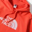 Sweat-shirt homme The North Face Drew Peak Pullover Hoodie