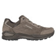 Chaussures homme Lowa Renegade Evo Gtx Lo