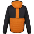 Veste homme Regatta Trutton II