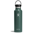 Bouteille isotherme Hydro Flask Standard Mouth 21 oz vert foncé Fir Green