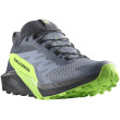 Chaussures de running hommes Salomon Sense Ride 5 Gore-Tex girs Flint Stone / Black / Green Gecko