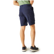 Short homme Regatta Dalry Short